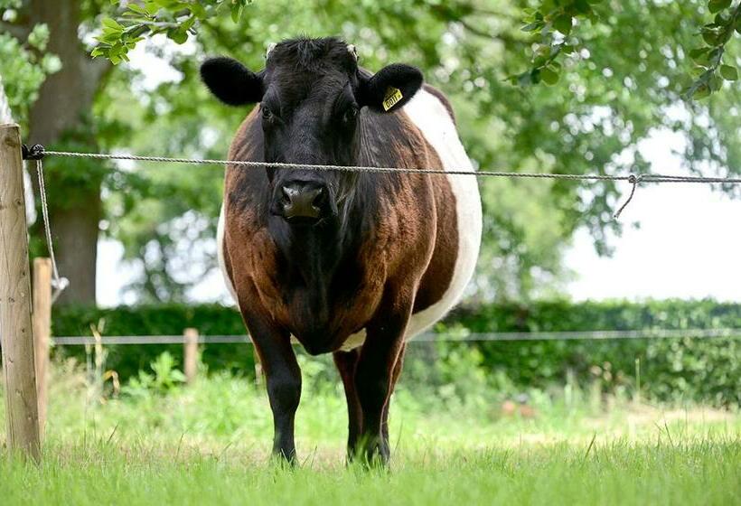 De Lakenvelder B&b Eersel