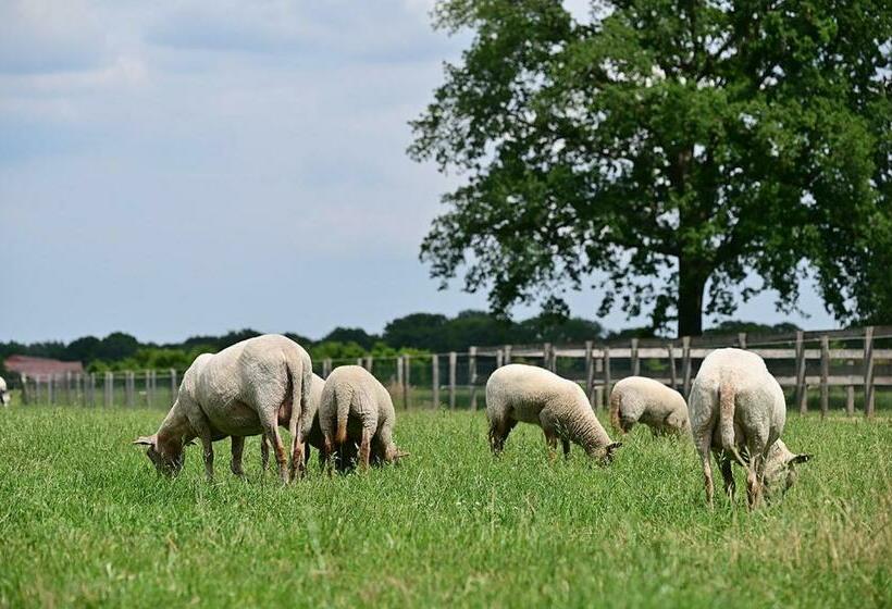 De Lakenvelder B&b Eersel