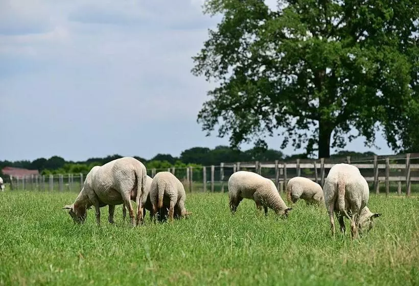 De Lakenvelder B&b Eersel