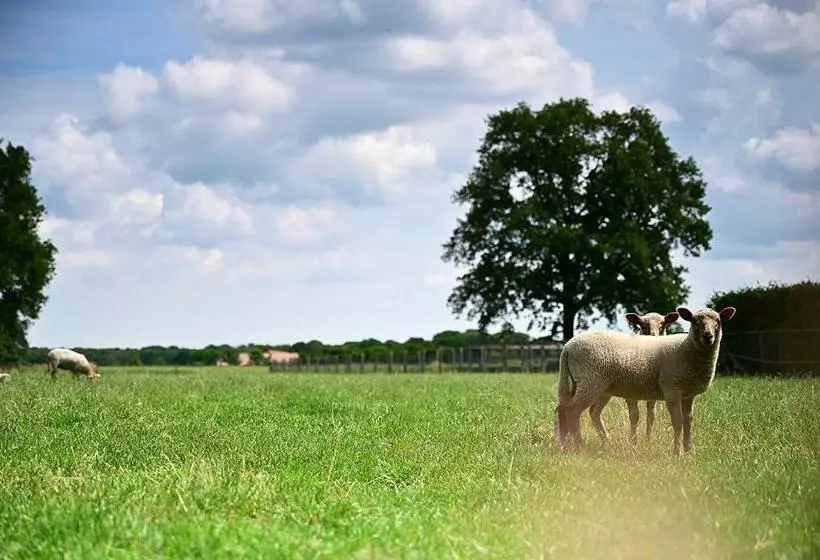 De Lakenvelder B&b Eersel