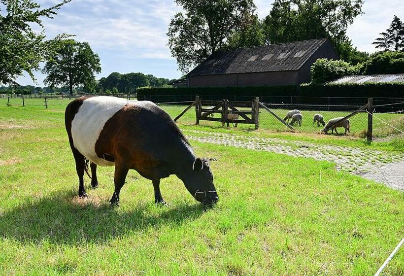De Lakenvelder B&b Eersel