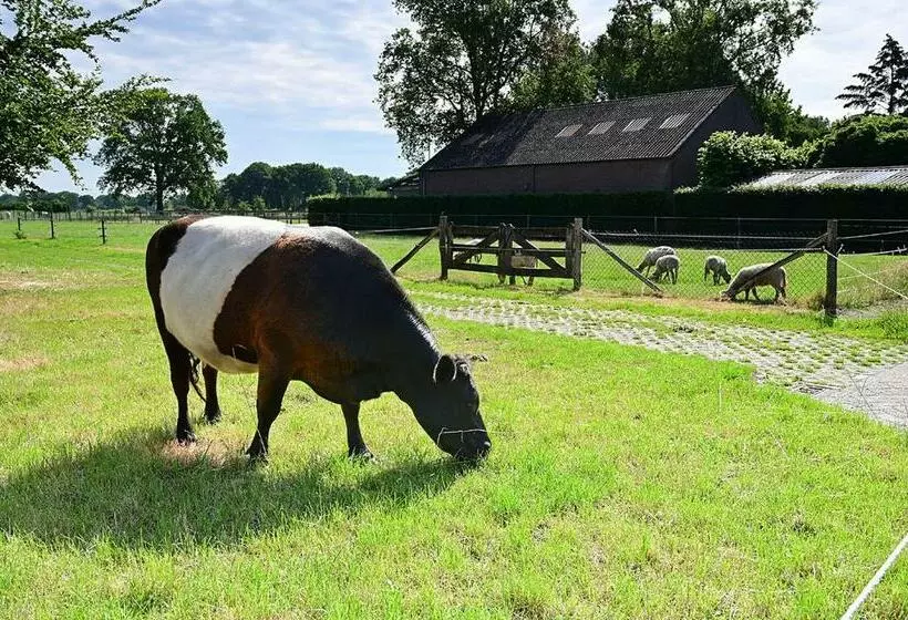 De Lakenvelder B&b Eersel