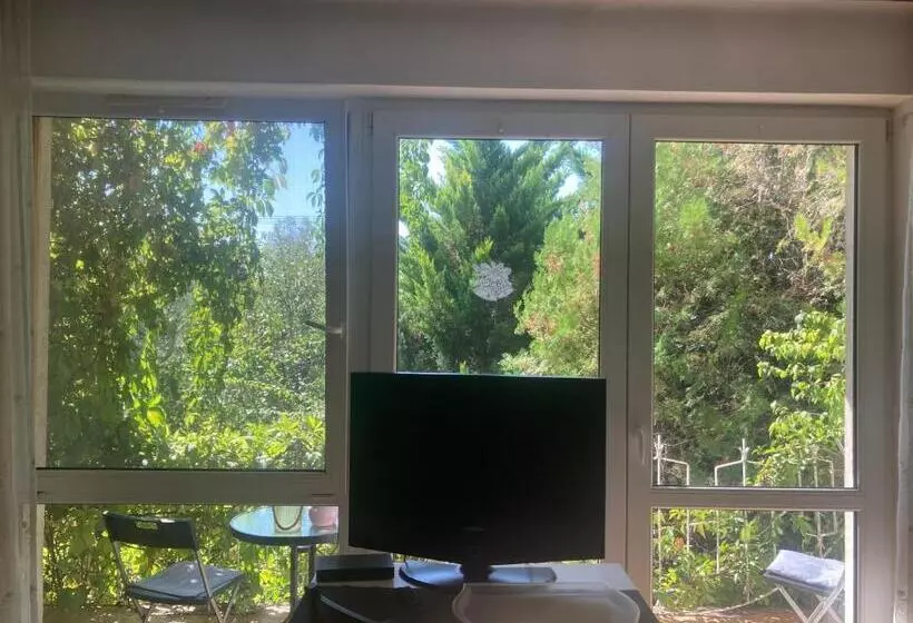 پانسیون Apartman Donau Tát