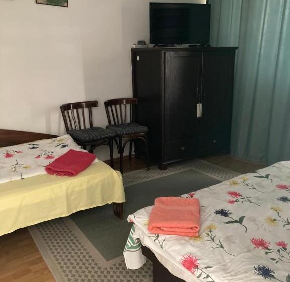 פנסיון Apartman Donau Tát