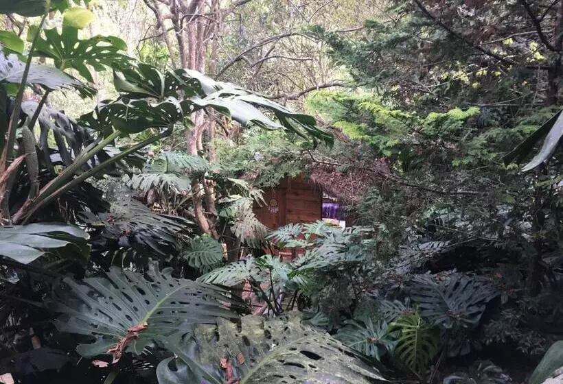 ペンション Casa Ranxoxita