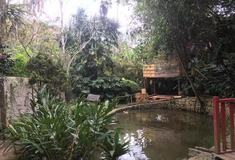 ペンション Casa Ranxoxita