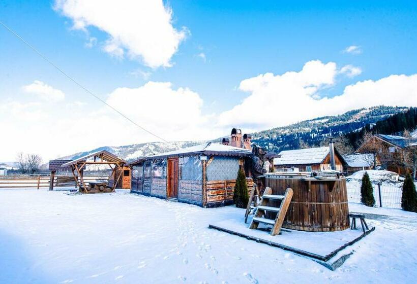 پانسیون Casa Teo&andreea