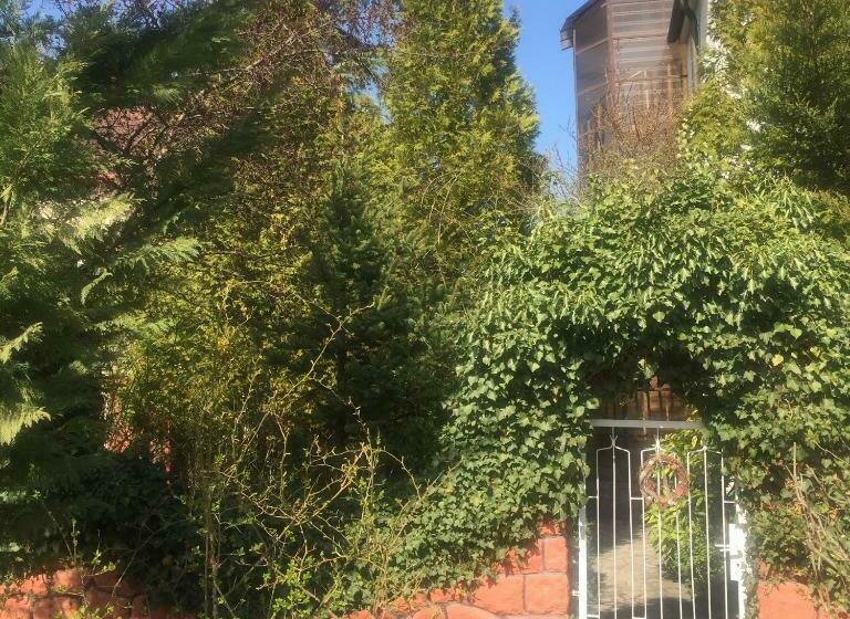 פנסיון Apartman Donau Tát