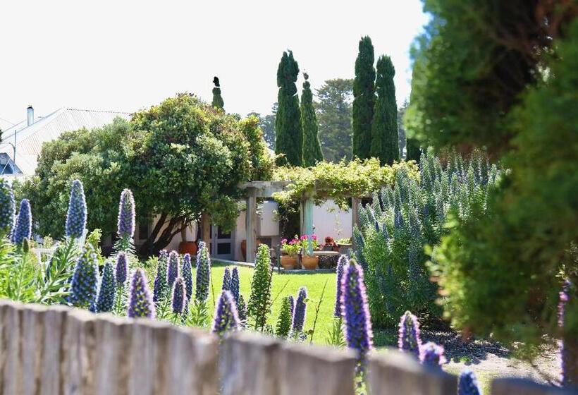 膳宿费 Grey Masts, Robe