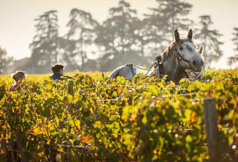 Bed and Breakfast Chateau Croix De Labrie