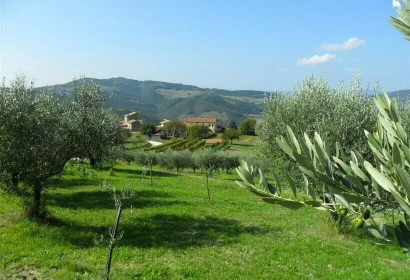 Aamiaismajoitus (B&B) La Cinci Allegra