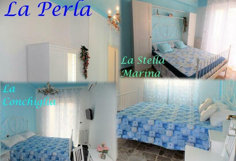 بنسيون Australe