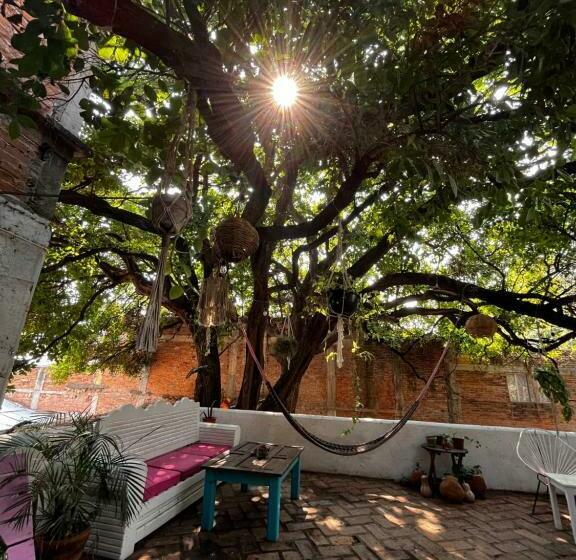 פנסיון Hostal Casa De Zeferina