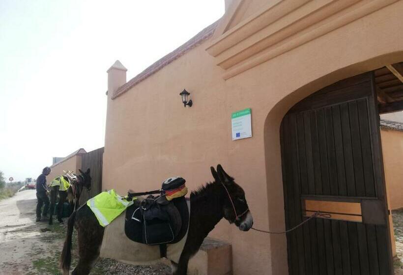Albergue Turístico La Almazara