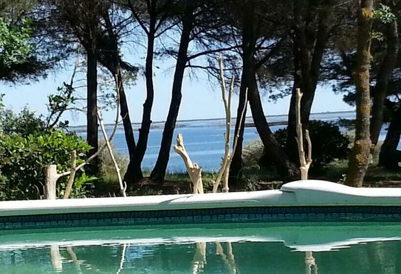 مبيت وإفطار Au Bord De Thau