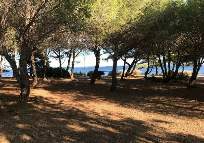 مبيت وإفطار Au Bord De Thau