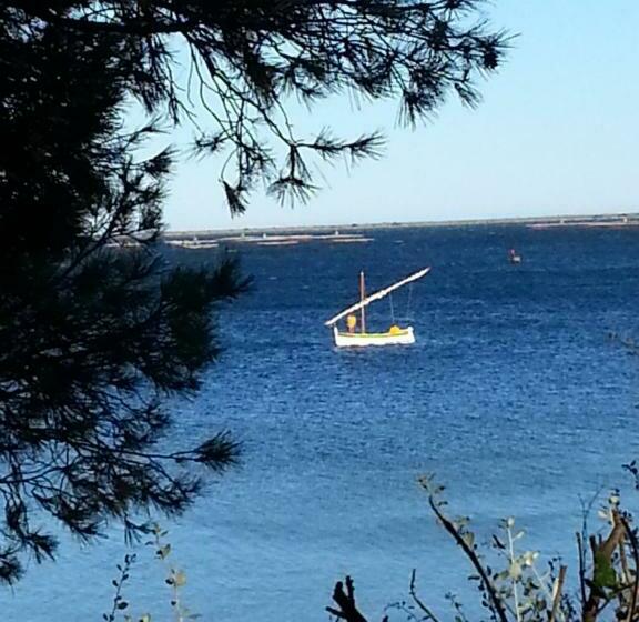 مبيت وإفطار Au Bord De Thau