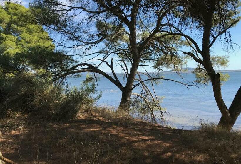 مبيت وإفطار Au Bord De Thau