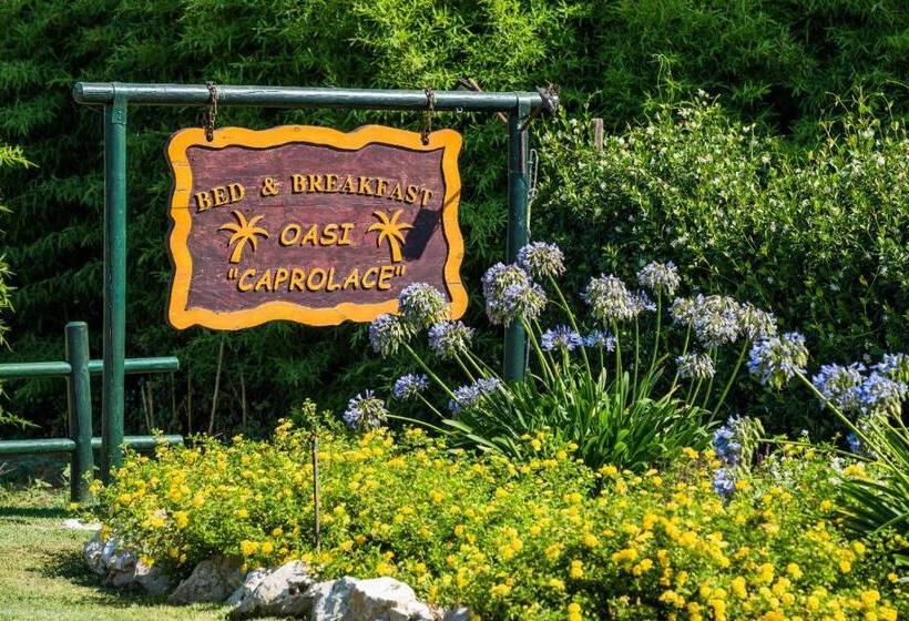 مبيت وإفطار Oasi Caprolace