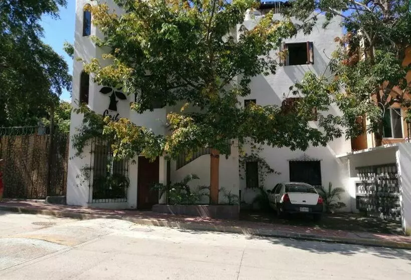 Ceiba Studios