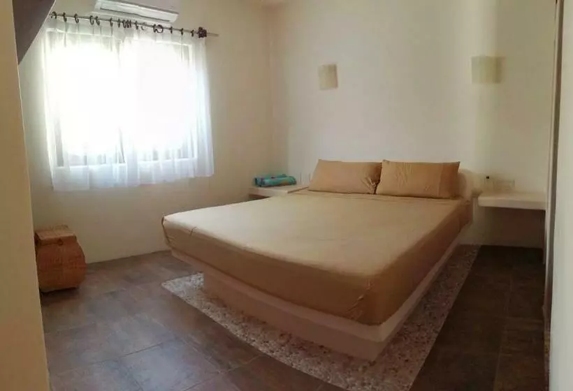 Ceiba Studios