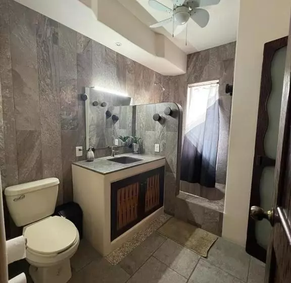 Ceiba Studios