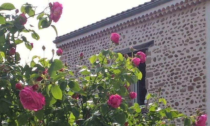 膳宿费 ô Joly Valois