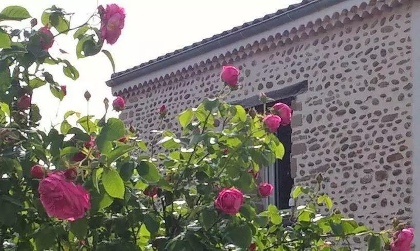 ペンション ô Joly Valois