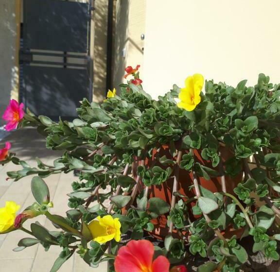 住宿加早餐  Al Chiaro Di Luna