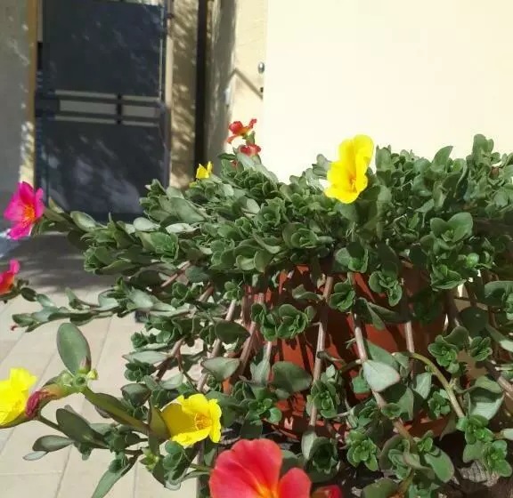 ベッドアンドブレックファースト Al Chiaro Di Luna