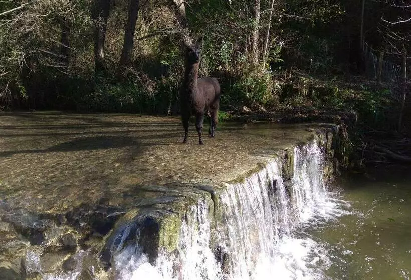Aamiaismajoitus (B&B) Chambre Cévennes: Piscine, Lamas, Rivière