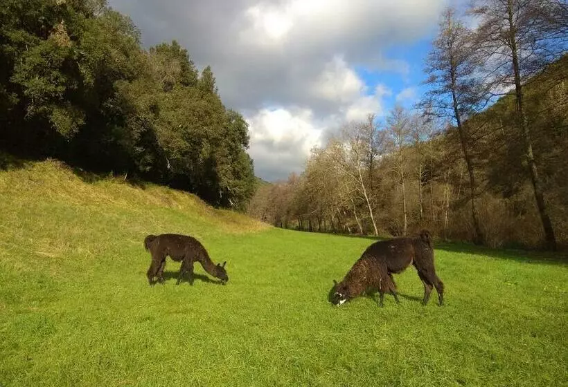 Aamiaismajoitus (B&B) Chambre Cévennes: Piscine, Lamas, Rivière