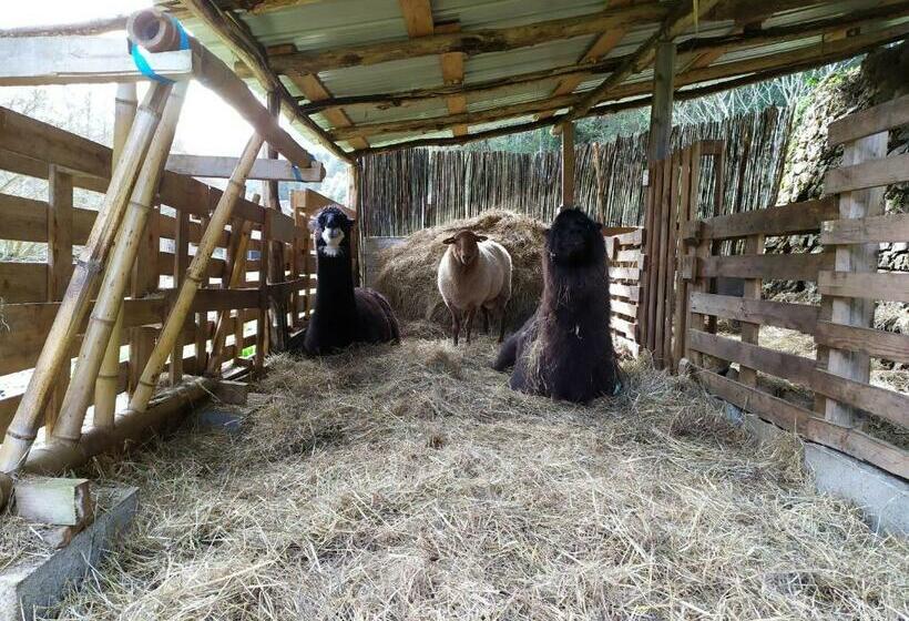 Bed and Breakfast Chambre Cévennes: Piscine, Lamas, Rivière