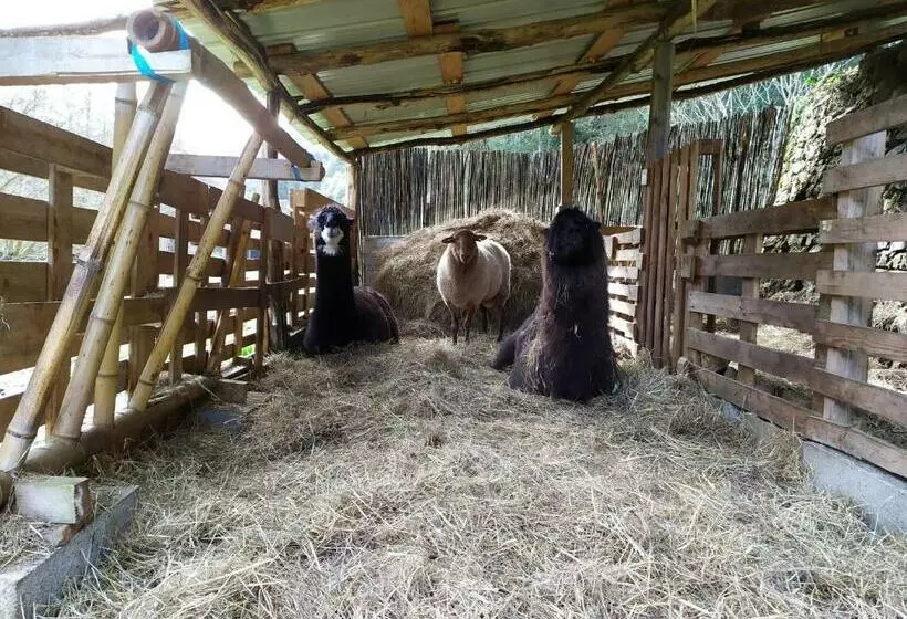 Aamiaismajoitus (B&B) Chambre Cévennes: Piscine, Lamas, Rivière