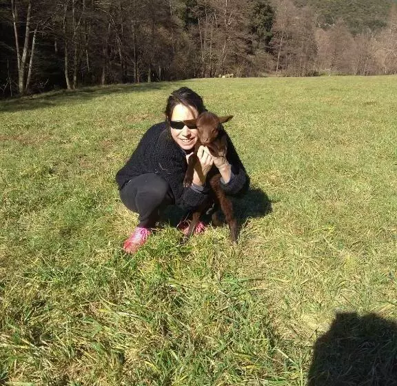 Aamiaismajoitus (B&B) Chambre Cévennes: Piscine, Lamas, Rivière