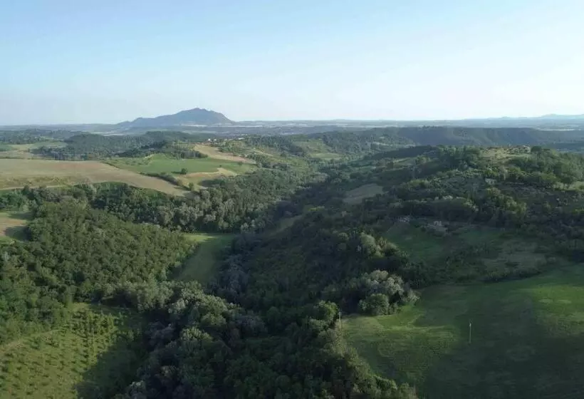 ベッドアンドブレックファースト Corte Buenavista