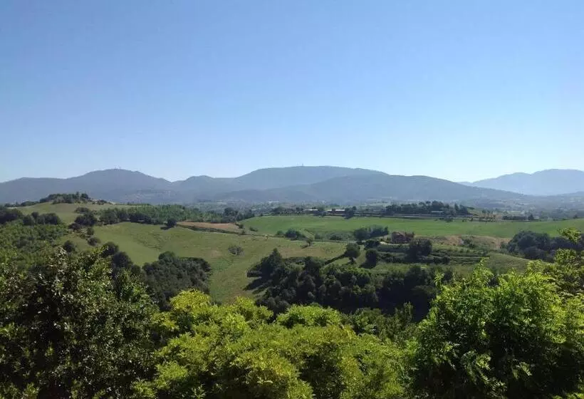 ベッドアンドブレックファースト Corte Buenavista