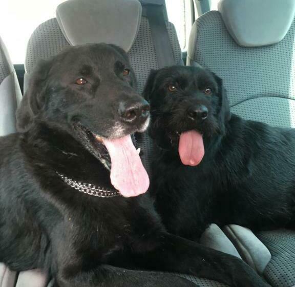 Bed and Breakfast Jardin Secret