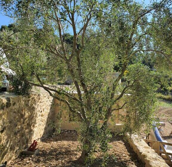 민박 Locations Insolites Vie En Plein Air Cabane Et Tipi Bastide Bellugue Maison D Hôtes Reseau Bienvenue