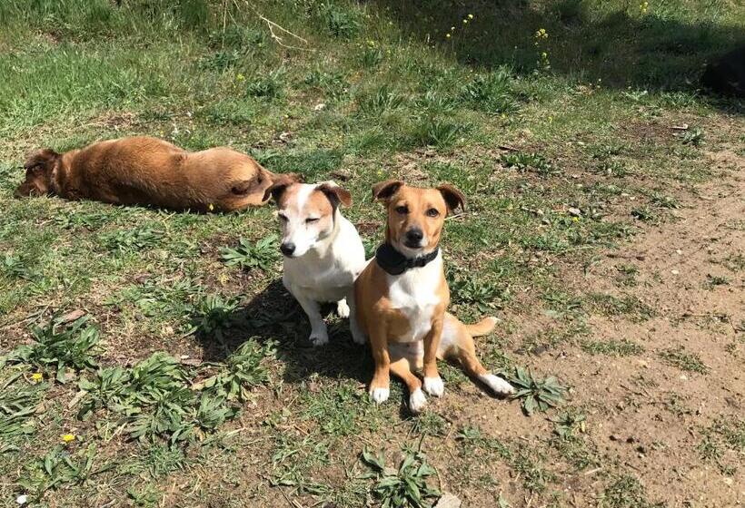 민박 Locations Insolites Vie En Plein Air Cabane Et Tipi Bastide Bellugue Maison D Hôtes Reseau Bienvenue