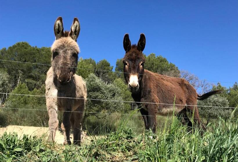 민박 Locations Insolites Vie En Plein Air Cabane Et Tipi Bastide Bellugue Maison D Hôtes Reseau Bienvenue