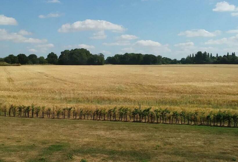 Fieldview Farmhouse Bed And Breakfast