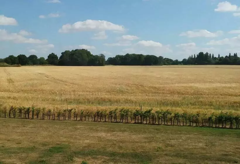 Fieldview Farmhouse Bed And Breakfast