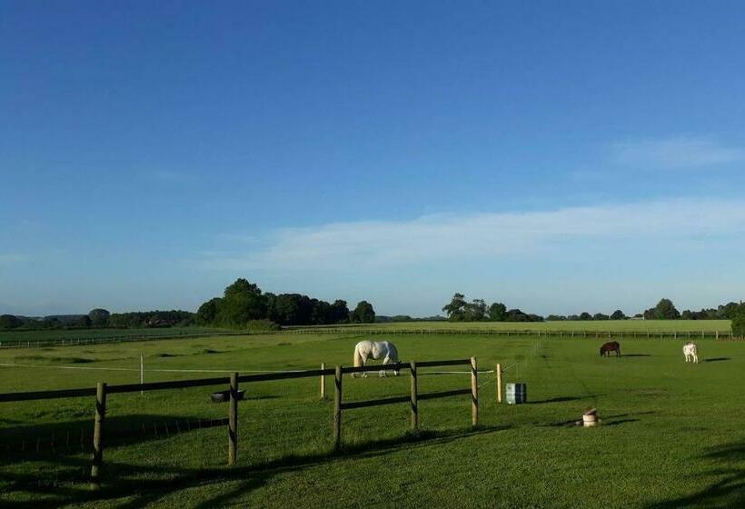 Fieldview Farmhouse Bed And Breakfast