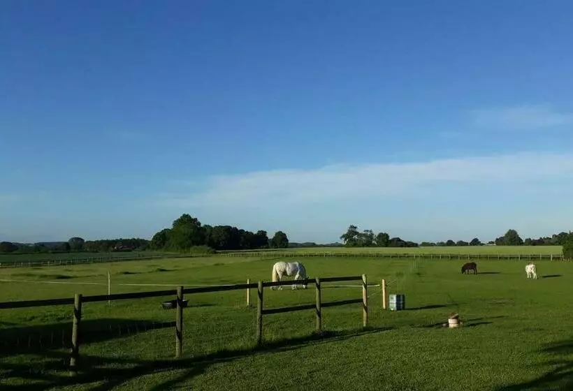 Fieldview Farmhouse Bed And Breakfast