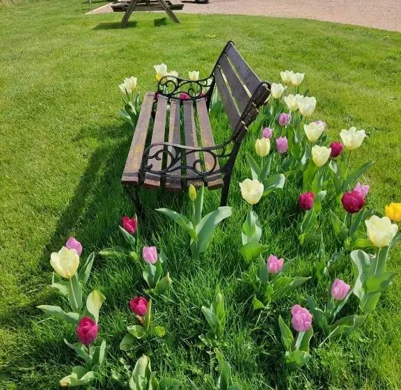 Fieldview Farmhouse Bed And Breakfast