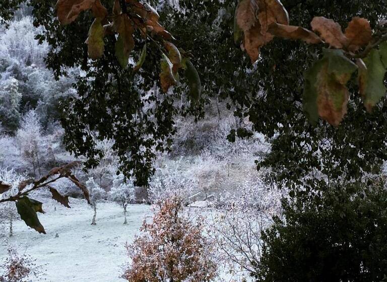 ホテル Casa Do Ouriço