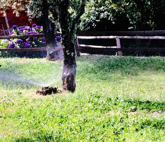 ホテル Casa Do Ouriço