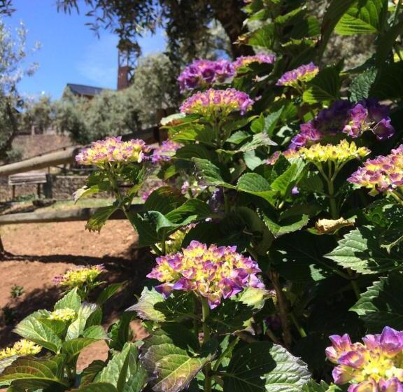 ホテル Casa Do Ouriço