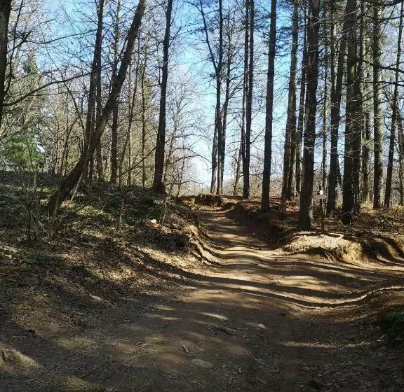 Aamiaismajoitus (B&B) Acero Rosso